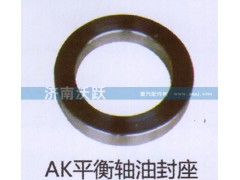 ,AK平衡軸油封座,濟(jì)南沃躍歐曼汽車配件有限公司