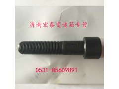 AZ9003821250,內(nèi)六角圓柱頭螺釘,濟(jì)南宏泰變速箱專營店