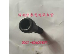 AZ9003821250,內(nèi)六角圓柱頭螺釘,濟(jì)南宏泰變速箱專營店