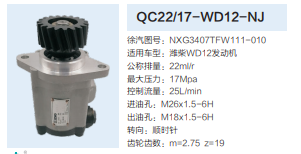 QC22/17-WD12-NJ,轉(zhuǎn)向助力泵,濟(jì)南泉達(dá)汽配有限公司